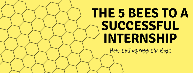 The-5-Bees-to-a-successful-Internship